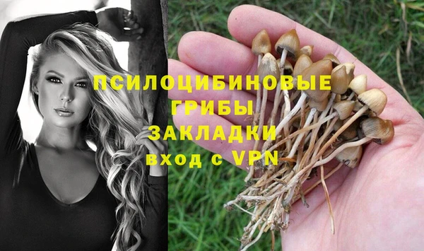 MESCALINE Баксан